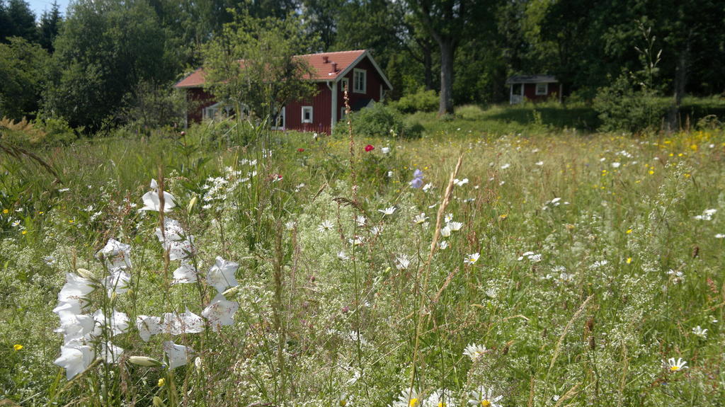 Kylas Vildmark Skillingaryd Exterior photo